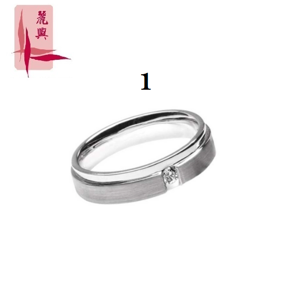 18K White Gold Diamond Wedding Ring DWR-002